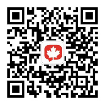 �t���~΢�Ź���̖���S�a