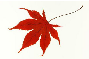 短信群發(fā)平臺(tái)到底安全嗎？