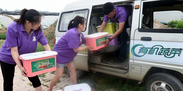 蔬菜配送公司短信宣傳方案 蔬菜配送公司短信宣傳方案